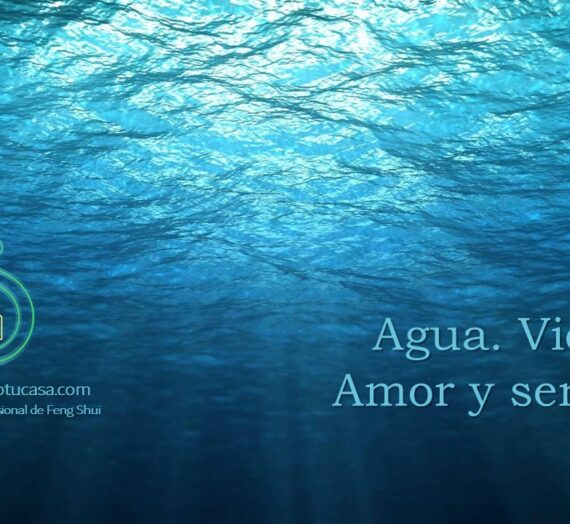 Agua. Vida. Amor y sentido.